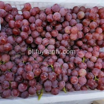 Red globe grape nowa uprawa purpurowa skóra